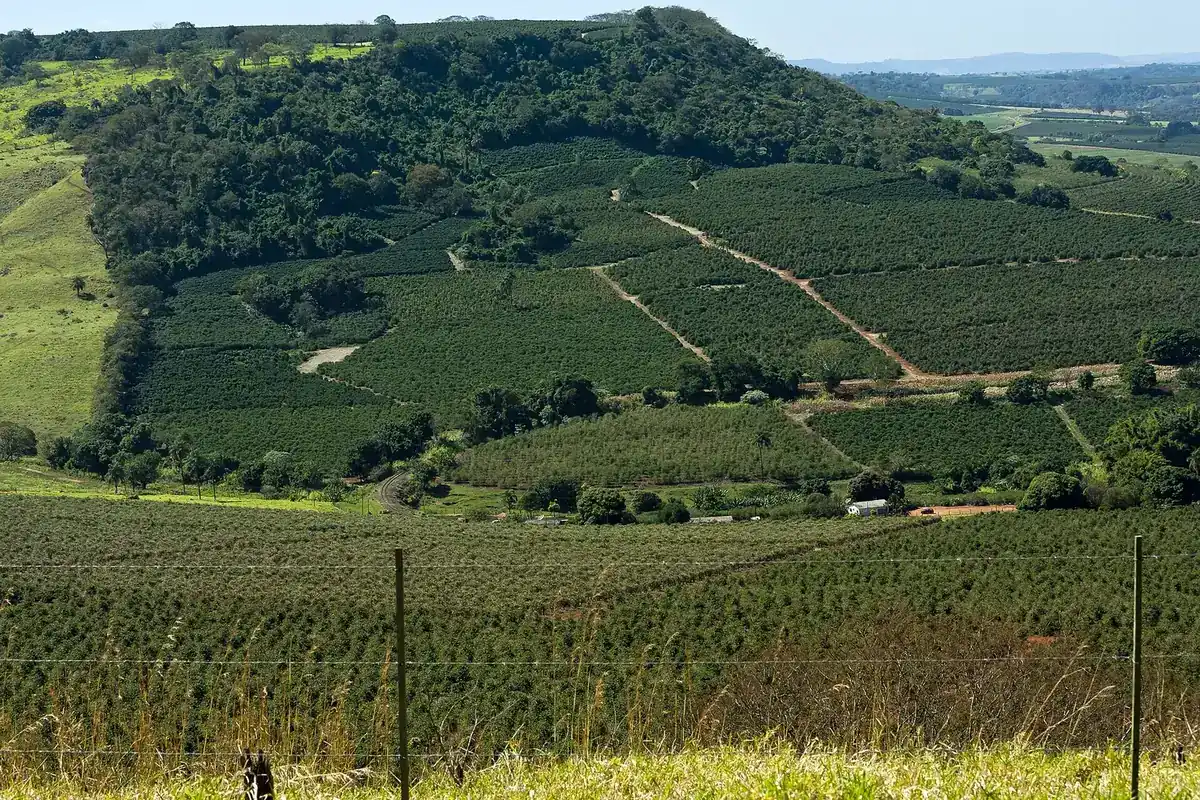 MP 1.376/2026: quem pode renegociar dívida rural, taxas e prazos