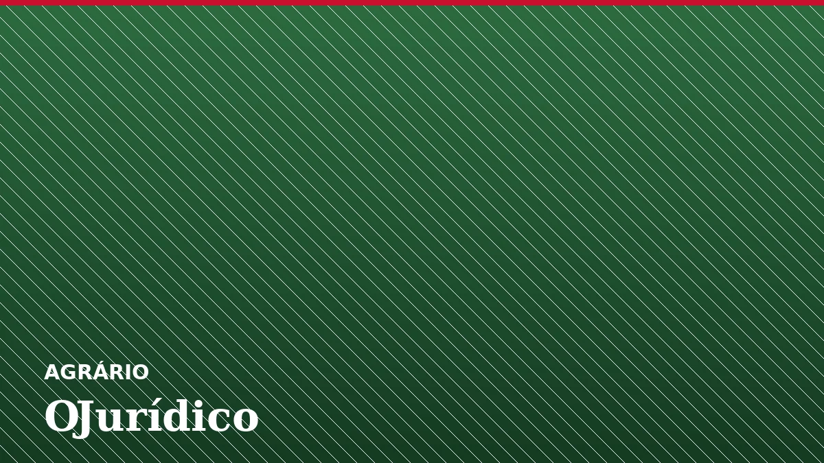 Proposta no Senado da Argentina quer subir teto de compra por província de 15% para 25%, sob protestos da oposição e de entidades sociais.