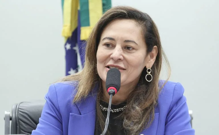 Projeto direciona recursos para cadeias sustentáveis e preserva ações contra desmatamento em outros biomas.